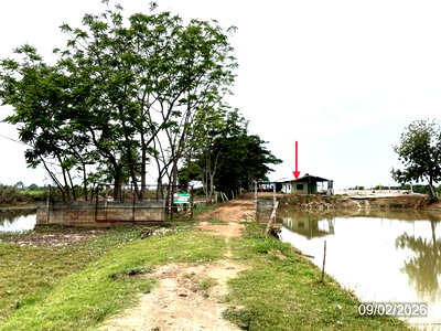 LAND 6259 Sq.w. Muang Phichit Phichit for 1.1M