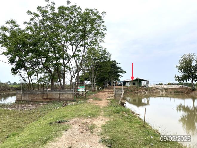 picture LAND 6259 Sq.w. Muang Phichit Phichit for 989,000 - 1/32