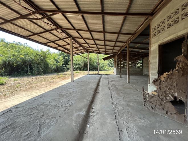 รูป บ้านเดี่ยว 2295.2 ตร.วา พรหมพิราม พิษณุโลก 2.9M - รูปที่ 13/40