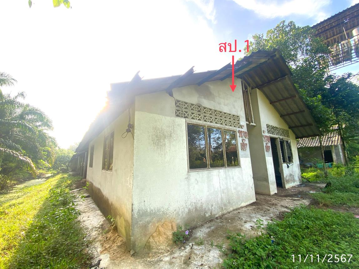 รูป ฟาร์ม 1709.6 ตร.วา ป่าบอน พัทลุง 3.2M - รูปที่ 21/40