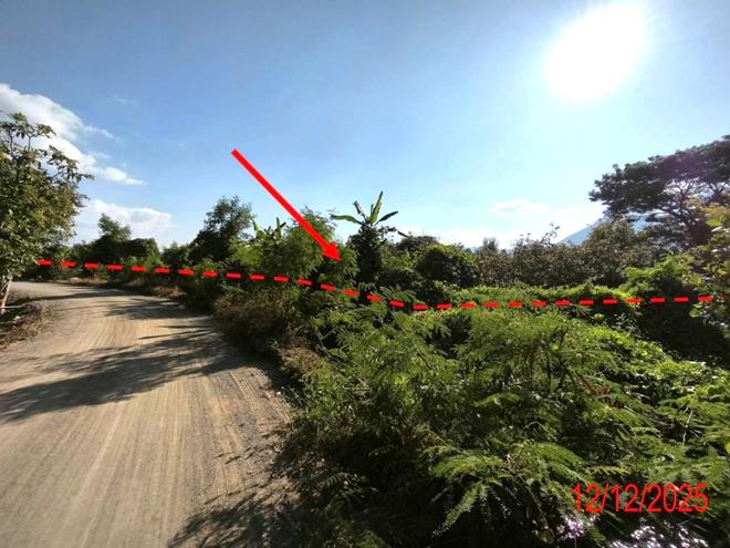 รูป สวนเกษตร 8355.2 ตร.วา บ้านโฮ่ง ลำพูน 6.2M - รูปที่ 4/18