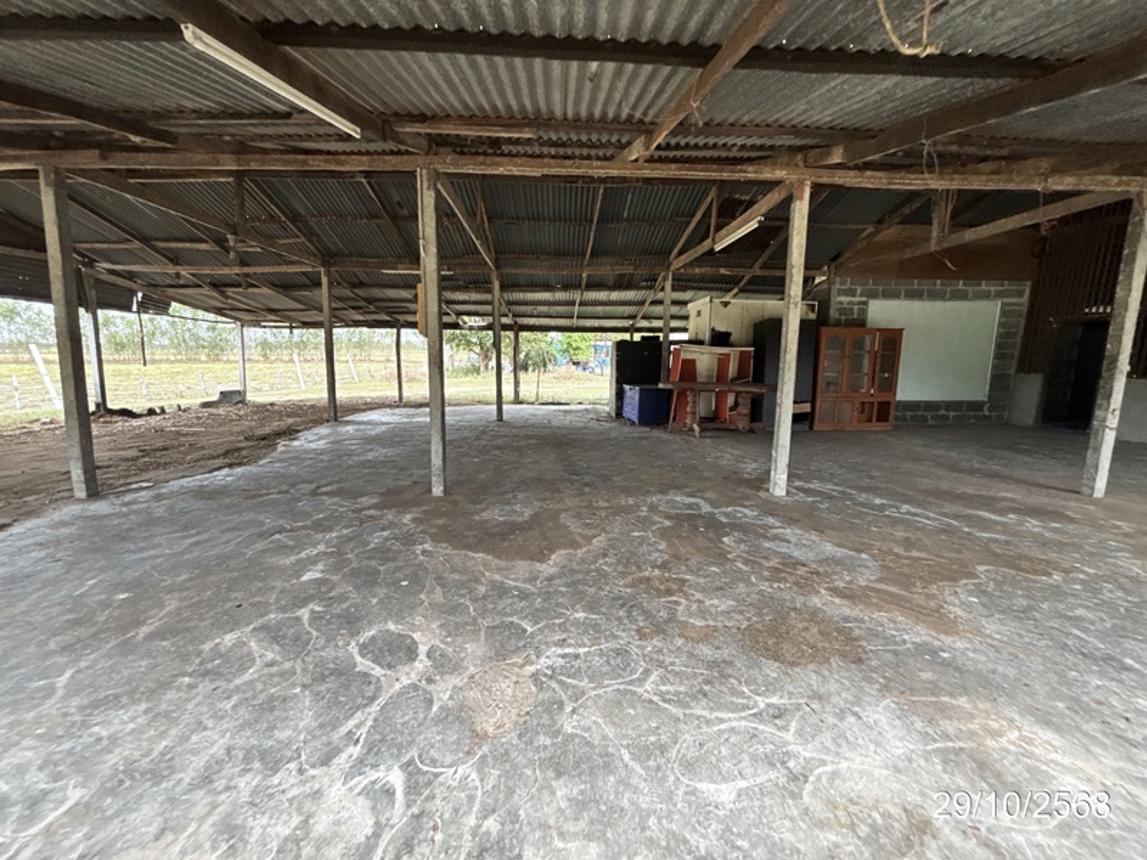 รูป บ้านเดี่ยว 1140 ตร.วา ชุมพลบุรี สุรินทร์ 1.8M - รูปที่ 21/34