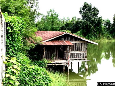 ที่ดิน เมืองหนองคาย หนองคาย : ฟาร์ม 14688 ตร.วา เมืองหนองคาย หนองคาย 3.8M