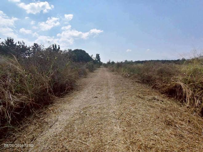 รูป เพิงอเนกประสงค์ 8800 ตร.วา จอมทอง เชียงใหม่ 6.2M - รูปที่ 10/26