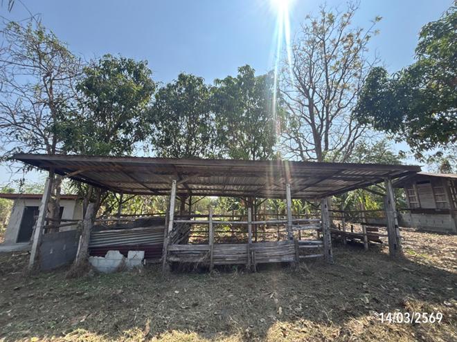 รูป บ้านเดี่ยว 1096 ตร.วา โนนสูง นครราชสีมา 1.7M - รูปที่ 12/44