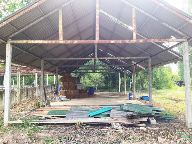 รูป ฟาร์ม 910.1 ตร.วา แก่งกระจาน เพชรบุรี 1.5M - รูปที่ 7/24