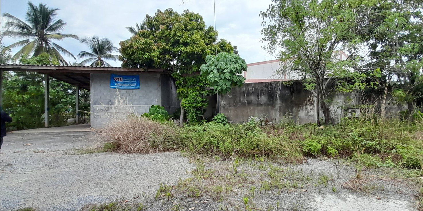 รูป ที่ดินพร้อมสิ่งปลูกสร้าง 245 ตร.วา อำเภอทุ่งใหญ่ นครศรีธรรมราช 1.9M - รูปที่ 3/7
