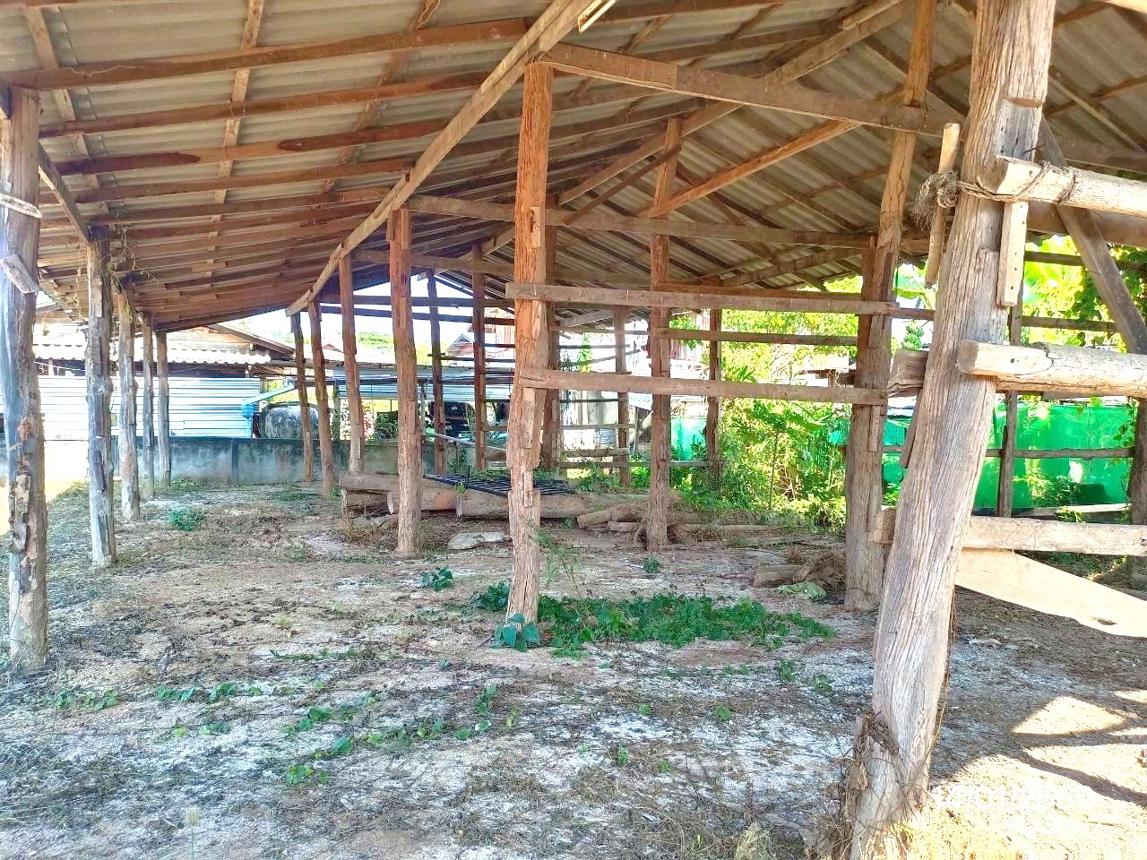 รูป เพิงอเนกประสงค์ 278 ตร.วา ดอกคำใต้ พะเยา 321,000 - รูปที่ 12/20