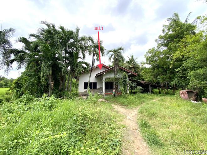 รูป บ้านเดี่ยว 726 ตร.วา ค่ายบางระจัน สิงห์บุรี 1.5M - รูปที่ 1/18