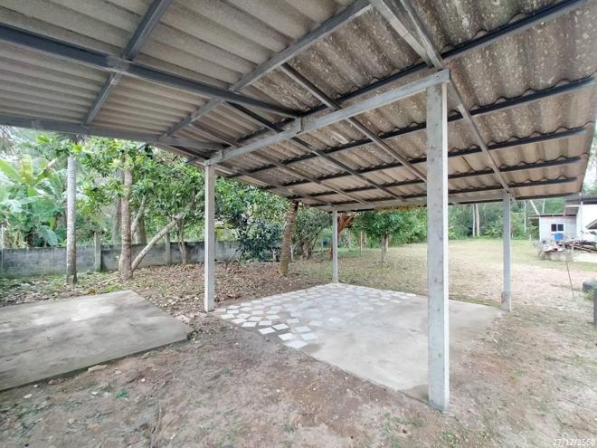 รูป เพิงอเนกประสงค์ 262 ตร.วา จะนะ สงขลา 1.1M - รูปที่ 6/24