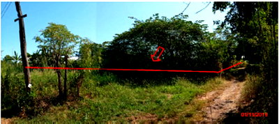 ที่ดิน หนองคาย : ที่ดินพร้อมสิ่งปลูกสร้าง 1334.1 ตร.วา อำเภอสระใคร หนองคาย 522,000