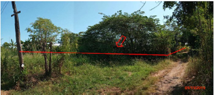 รูป ที่ดินพร้อมสิ่งปลูกสร้าง 1334.1 ตร.วา อำเภอสระใคร หนองคาย 522,000 - รูปที่ 1/2