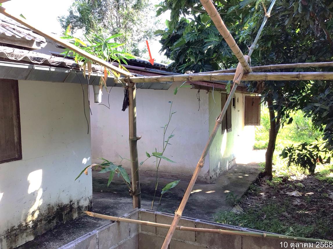 รูป บ้านเดี่ยว 1597 ตร.วา แม่จัน เชียงราย 4.6M - รูปที่ 17/36