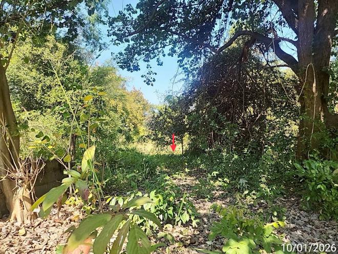 รูป บ้านเดี่ยว 1207 ตร.วา นามน กาฬสินธุ์ 2.4M - รูปที่ 9/24