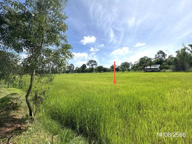 picture HOME 2538.4 Sq.w. Samrong Ubon Ratchathani for 1.8M - 5/16