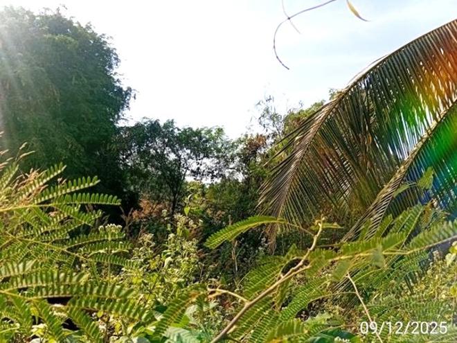 รูป บ้านเดี่ยว 456 ตร.วา หนองหาน อุดรธานี 569,000 - รูปที่ 7/24