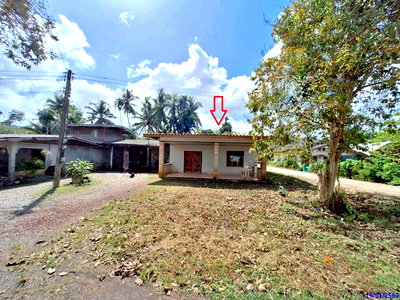 บ้านเดี่ยว 78 ตร.วา รัษฎา ตรัง 1.3M