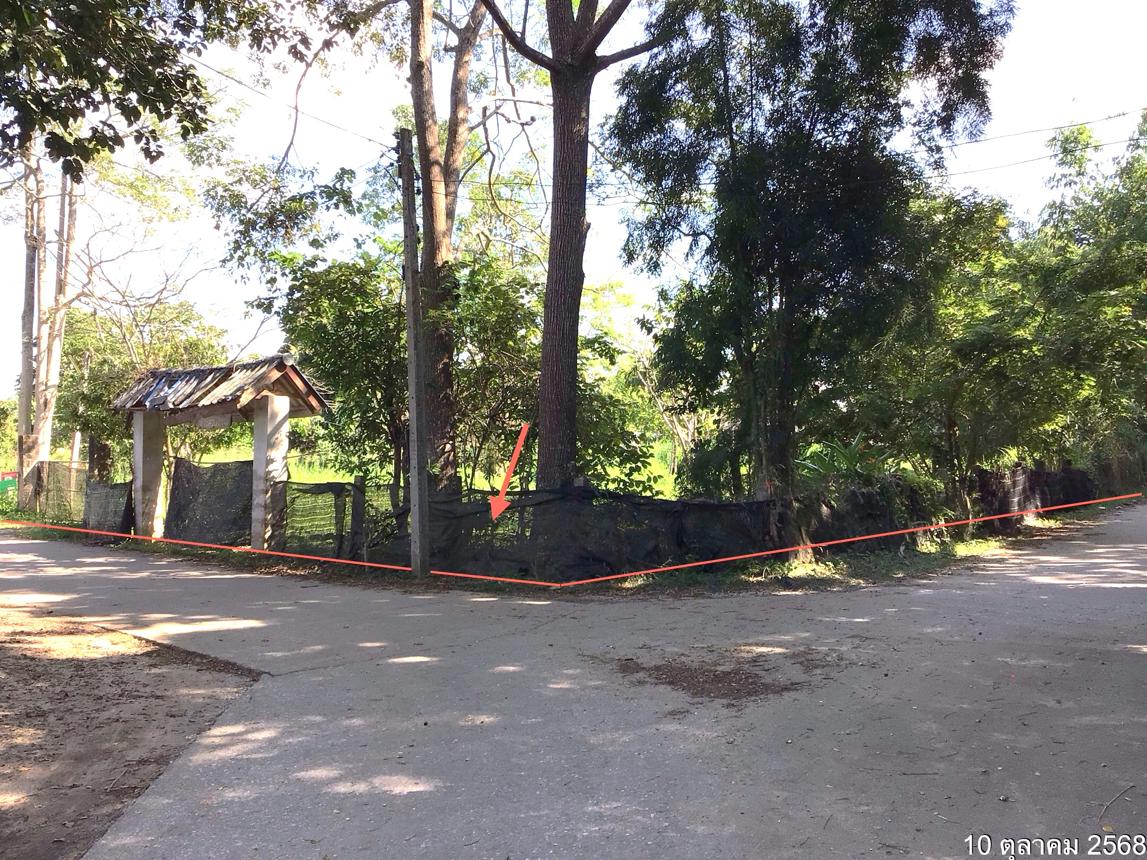 รูป บ้านเดี่ยว 1597 ตร.วา แม่จัน เชียงราย 4.6M - รูปที่ 32/36