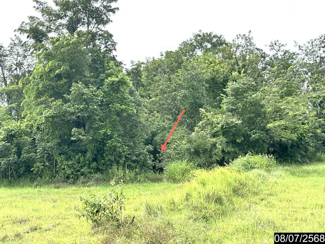 รูป บ้านเดี่ยว 10506.7 ตร.วา เดชอุดม อุบลราชธานี 2.3M - รูปที่ 10/26