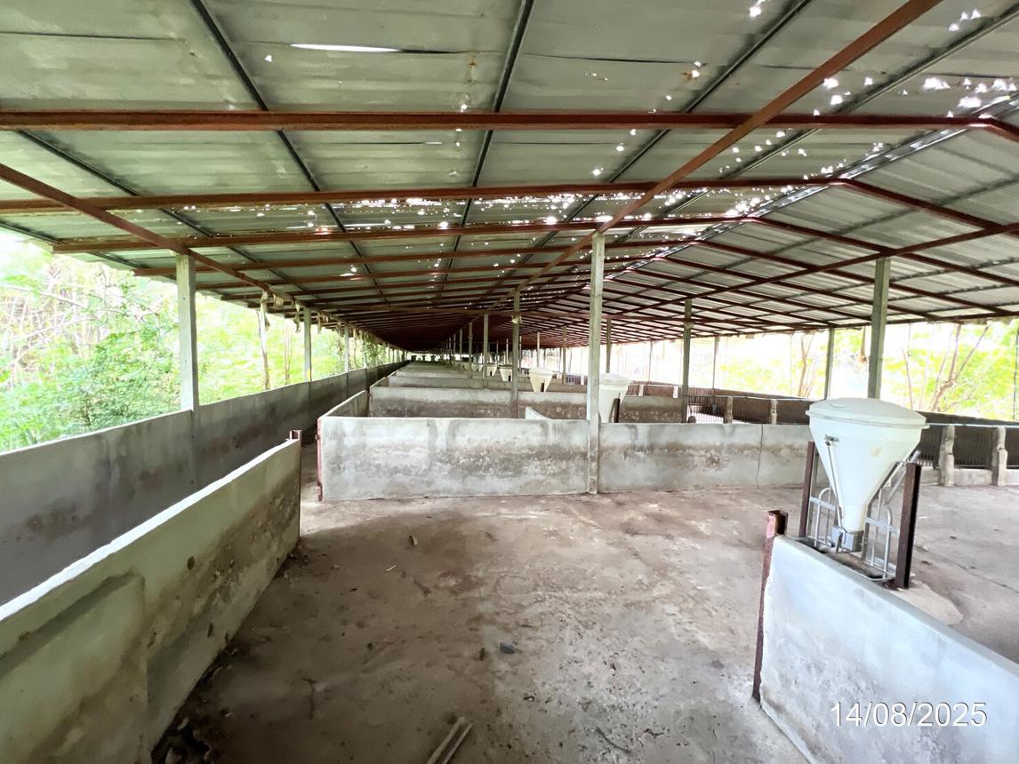 picture LAND 1958 Sq.w. Muang Nakhon Sawan Nakhon Sawan for 4M - 22/34