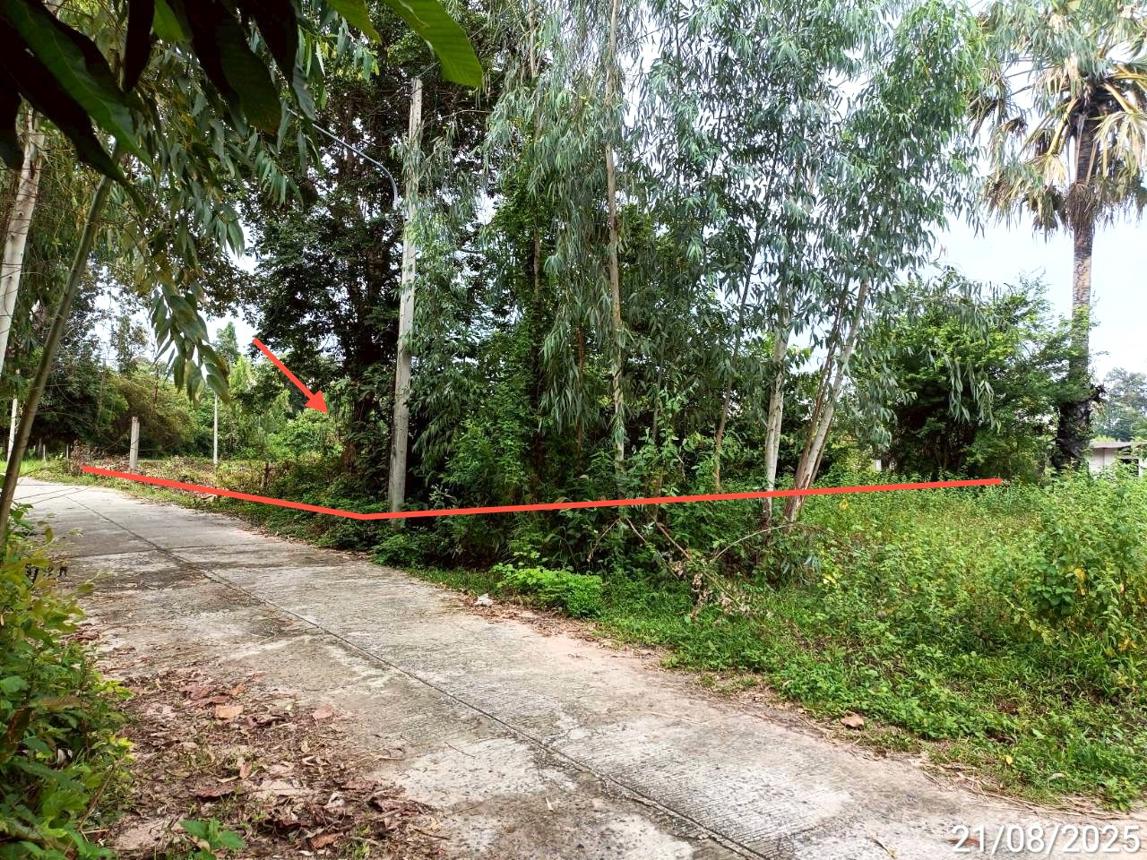 รูป บ้านเดี่ยว 2369 ตร.วา สุวรรณภูมิ ร้อยเอ็ด 1.3M - รูปที่ 20/24