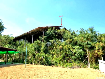 Factory for sale Muang Nakhon Pathom Nakhon Pathom : FACTORY 1213.8 Sq.w. Muang Nakhon Pathom Nakhon Pathom for 4.6M