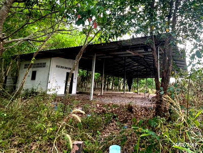 Factory for sale Sakon Nakhon : FACTORY 16037 Sq.w. Sawang Daen Din Sakon Nakhon for 9.8M