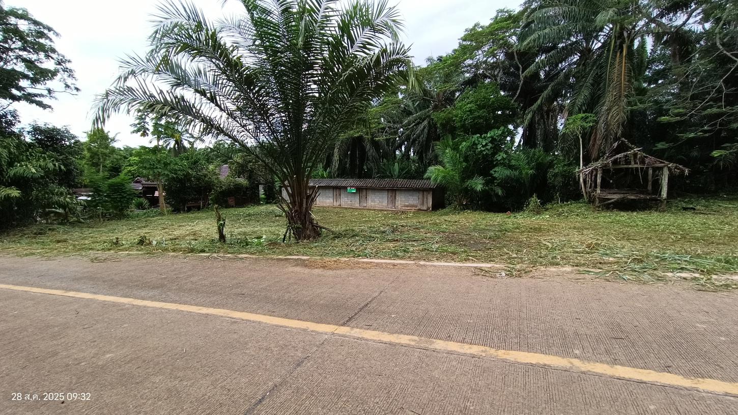 รูป บ้านเดี่ยว 344 ตร.วา ชัยบุรี สุราษฎร์ธานี 597,000 - รูปที่ 20/36