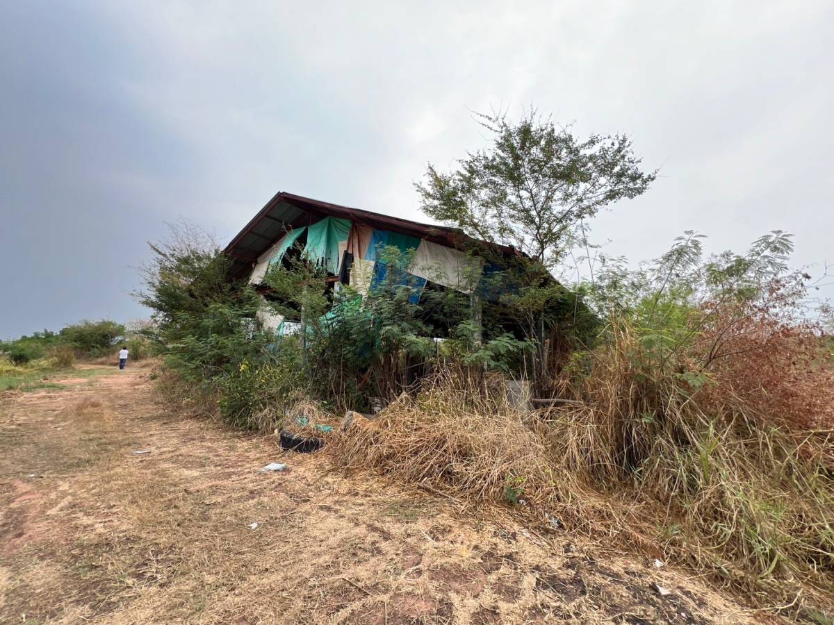 รูป ที่ดินพร้อมสิ่งปลูกสร้าง 35967 ตร.วา อำเภอลำปลายมาศ บุรีรัมย์ 27.5M - รูปที่ 4/9