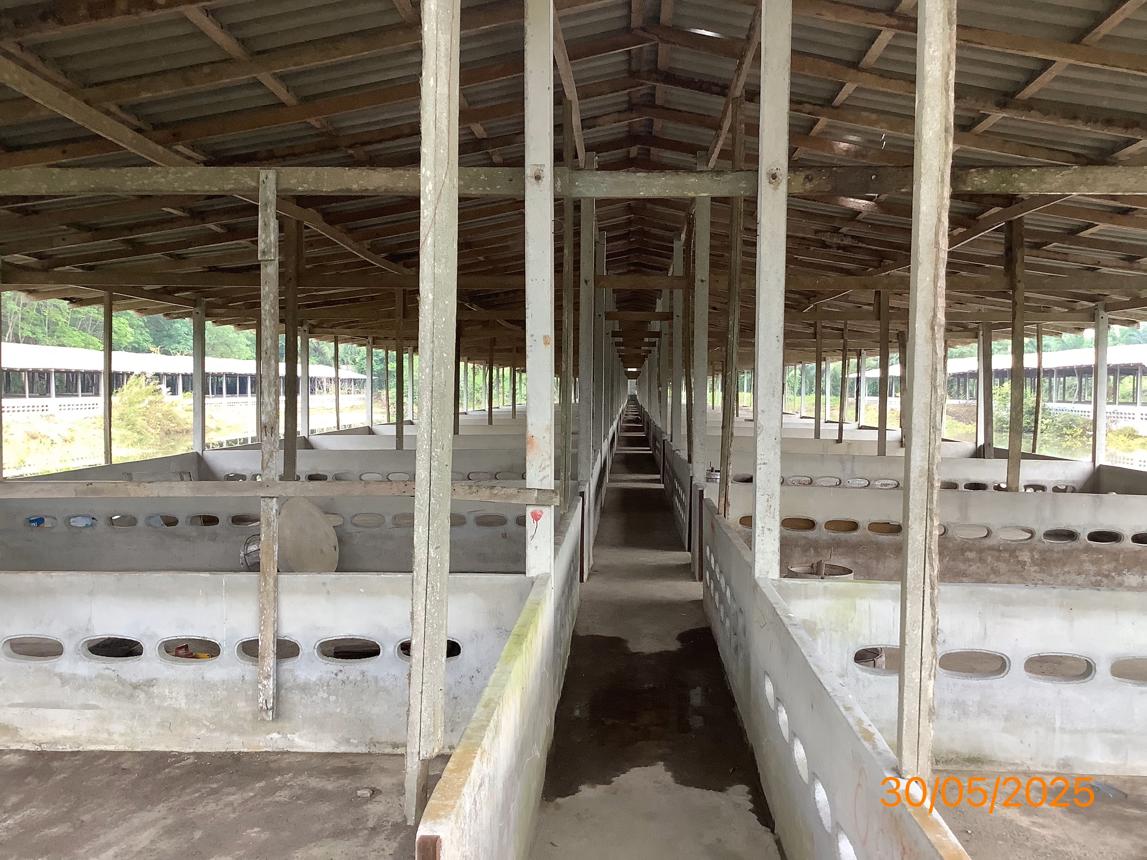 picture LAND 3649 Sq.w. Chalermphrakiet Nakhon Sri Thammarat for 9.9M - 25/38