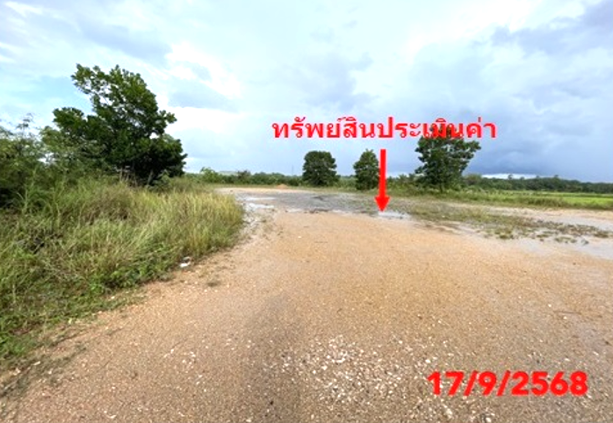 รูป บ้านเดี่ยว 799.6 ตร.วา รัตภูมิ สงขลา 10.1M - รูปที่ 28/34