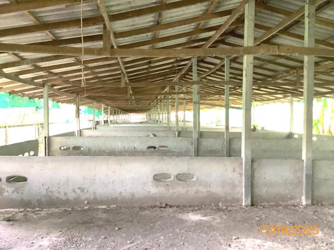 รูป ฟาร์ม 2259.1 ตร.วา เฉลิมพระเกียรติ นครศรีธรรมราช 5.6M - รูปที่ 4/36