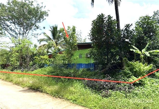 picture HOME 879 Sq.w. Det Udom Ubon Ratchathani for 3M - 8/20