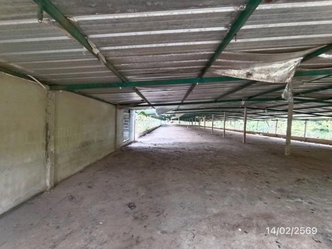 รูป ฟาร์ม 3464 ตร.วา สทิงพระ สงขลา 9.7M - รูปที่ 7/48