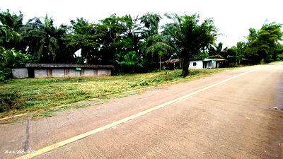 Houses for sale Surat Thani : HOME 344 Sq.w. Chaiburi Surat Thani for 597,000