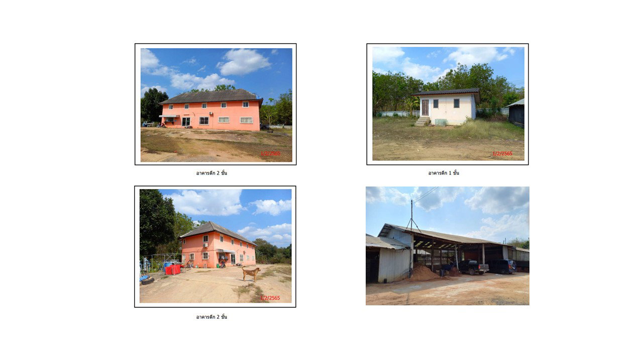 picture LAND 3666 Sq.w. Muang Loei Loei for 11.5M - 4/6