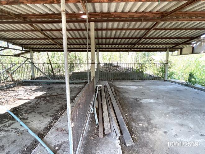 picture LAND 12644 Sq.w. Ko Chan Chonburi for 14.6M - 8/44
