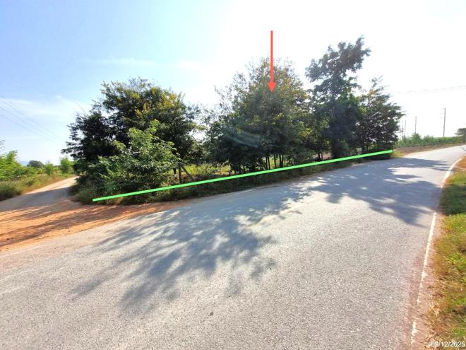 รูป ฟาร์ม 2626 ตร.วา ห้วยกระเจา กาญจนบุรี 4.7M - รูปที่ 17/40