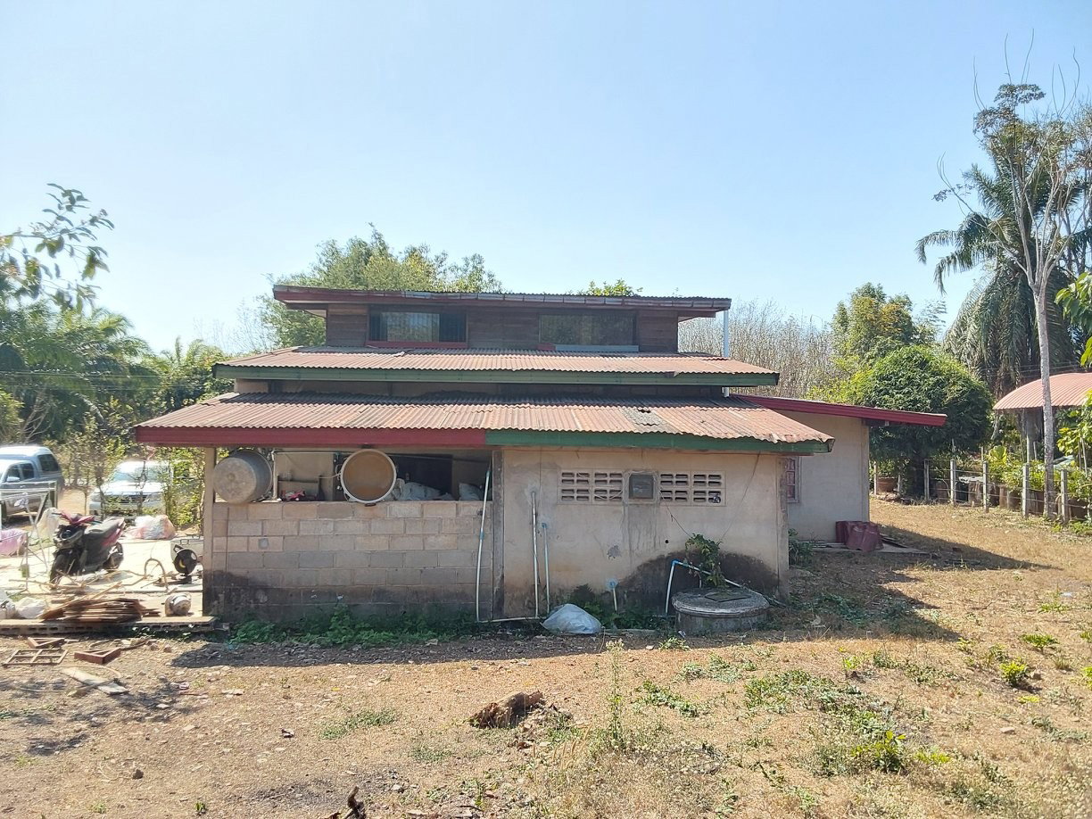 picture LAND 847 Sq.w. Nam Som Udon Thani for 1.8M - 5/6