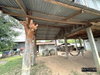 listing thumbnail image 21