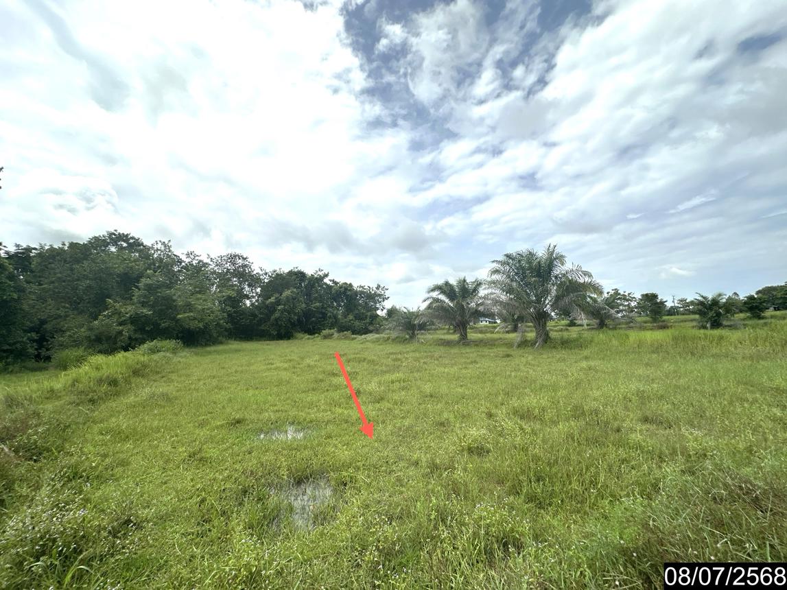 รูป บ้านเดี่ยว 10506.7 ตร.วา เดชอุดม อุบลราชธานี 2.3M - รูปที่ 19/26