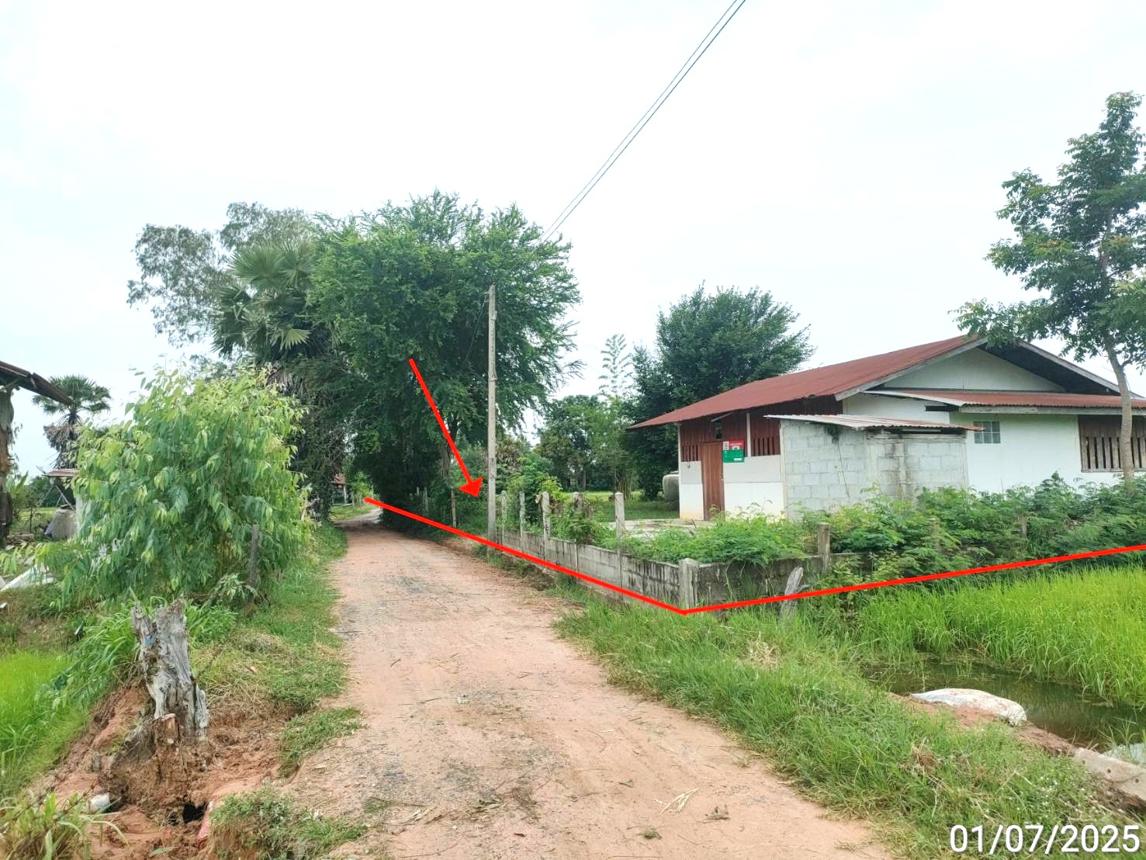 รูป บ้านเดี่ยว 2800 ตร.วา โกสุมพิสัย มหาสารคาม 2.6M - รูปที่ 19/24