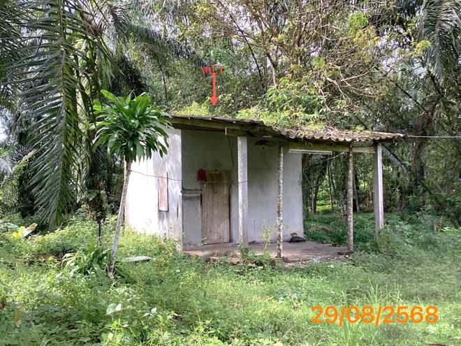 picture LAND 2165 Sq.w. Kapong Phangnga for 4M - 4/36