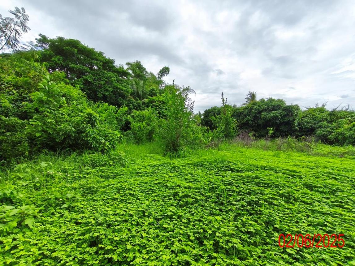 รูป บ้านเดี่ยว 642.3 ตร.วา เมืองลำปาง ลำปาง 2M - รูปที่ 18/24