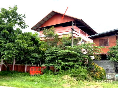 บ้านเดี่ยว เสนางคนิคม อำนาจเจริญ : บ้านเดี่ยว 800 ตร.วา เสนางคนิคม อำนาจเจริญ 9.1M