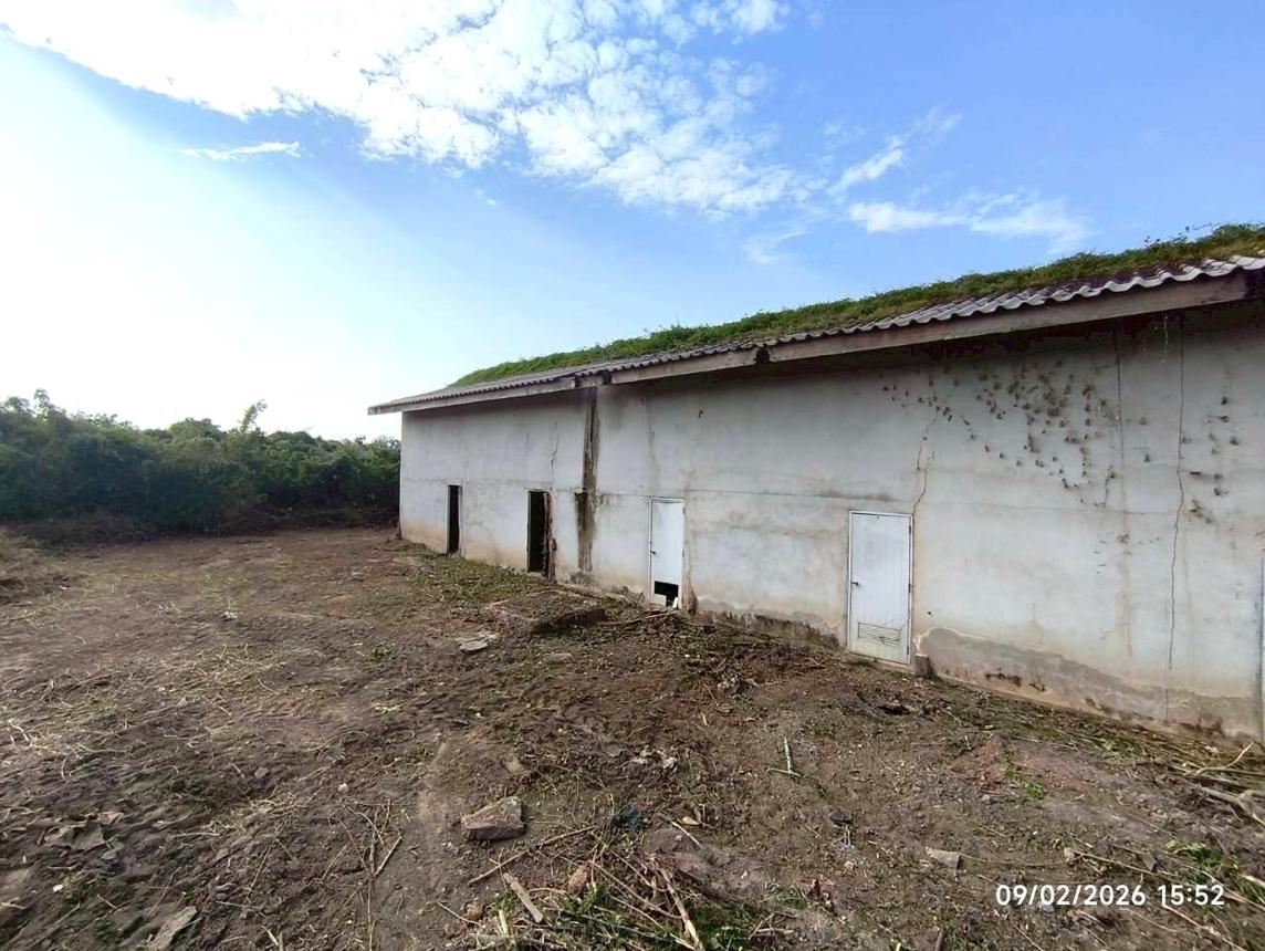 picture FACTORY 19447 Sq.w. Muang Phichit Phichit for 122.9M - 54/60