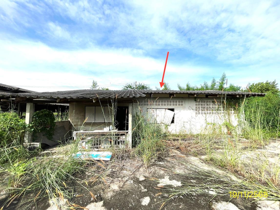 รูป ฟาร์ม 6790.8 ตร.วา โพธาราม ราชบุรี 15.2M - รูปที่ 29/44