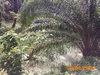 listing thumbnail image 29