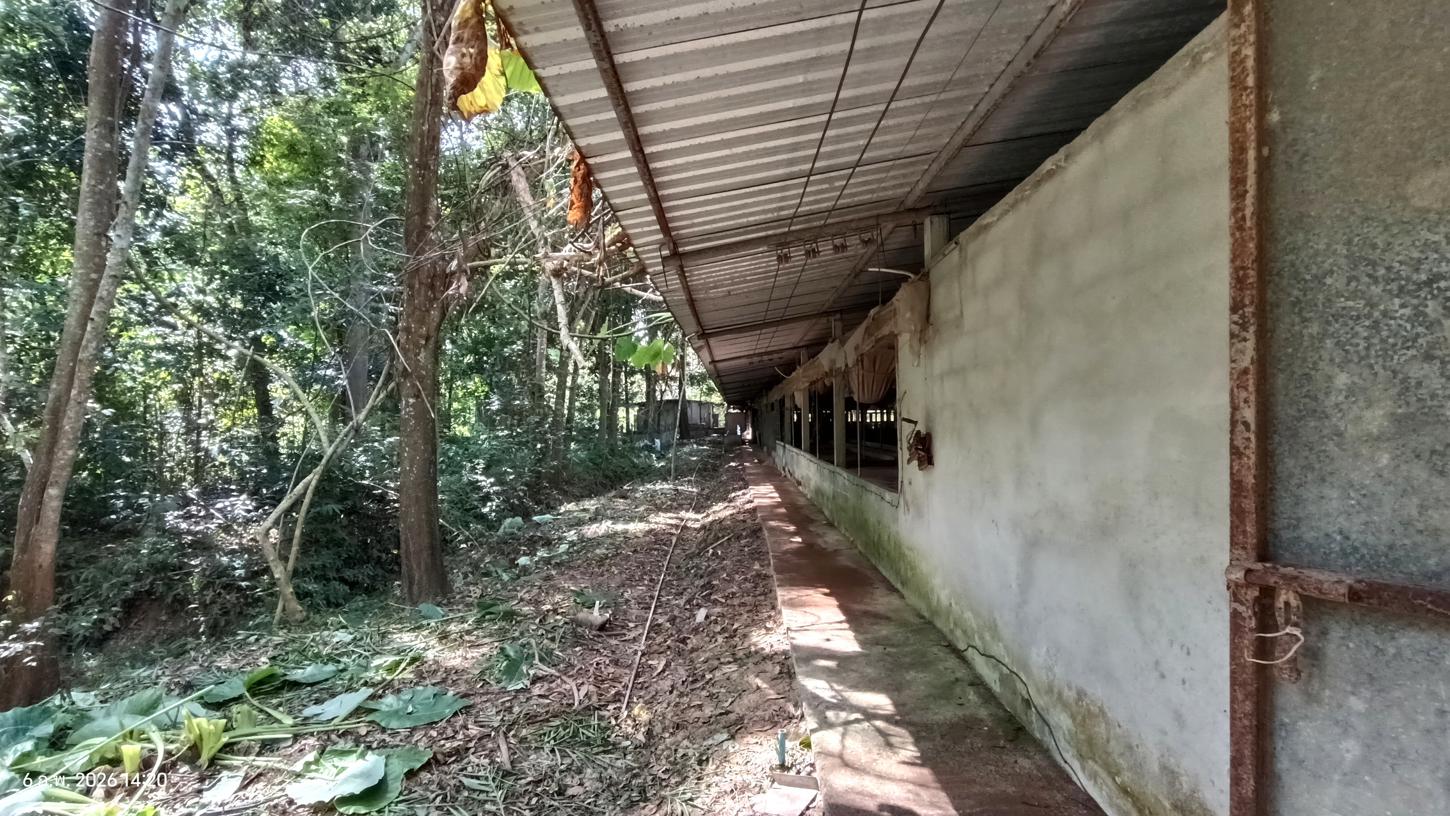 รูป เพิงอเนกประสงค์ 4000 ตร.วา ศรีนครินทร์ พัทลุง 5.1M - รูปที่ 26/40