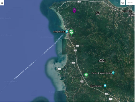 ที่ดินว่างเปล่า 11778.5 ตร.วา เกาะสมุย-สุราษฎร์ธานี เกาะสมุย สุราษฎร์ธานี 83M